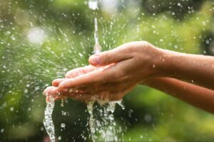 Hands catching water droplets in a vibrant green outdoor setting.